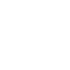 Varaschin_logo